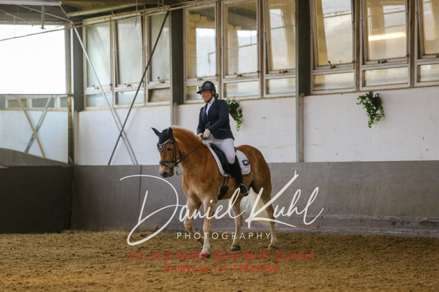 IMG_2965 | Turniersportfotografie; Pferdefotografie; Dressurfotografie