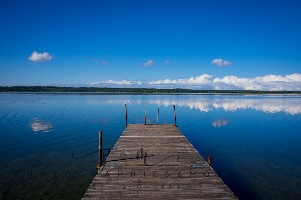 _Sommer2022-0516 | Photographies and more - Realisiert mit Pictrs.com