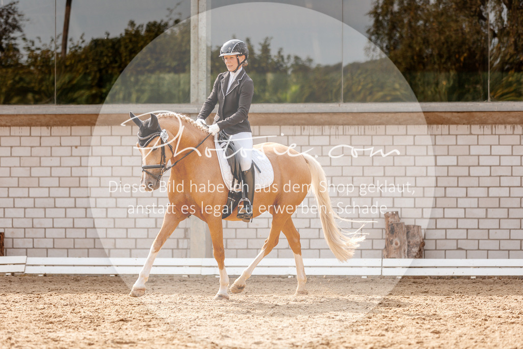 3I6A4392 | Stimmungsvolle Portraits und Reitsportfotografie im Ruhrgebiet und im Münsterland.

Pferdefotografie, Hundefotografie, Tierfotografie, Reportagen, Portraits von Tier und Mensch, Turnierfotografie in Bochum, Recklinghausen, Marl, Haltern am See, Dülmen.. - Realisiert mit Pictrs.com