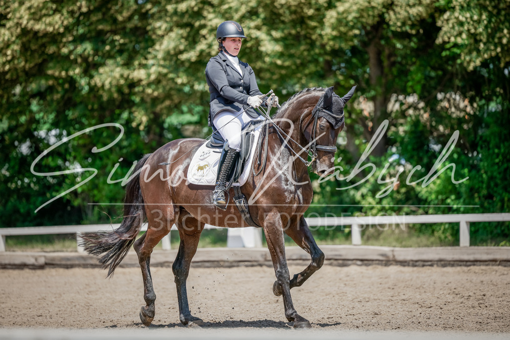 20250621-_3LI7840 | Tierfotografie Pferde, Hunde, Katzen, Haustiere.
Turnierfotografie Reitturniere, Reiten, Springreiten, Dressur in Hanau, dem Main-Kinzig-Kreis und dem Rhein-Main- Gebiet um Frankfurt