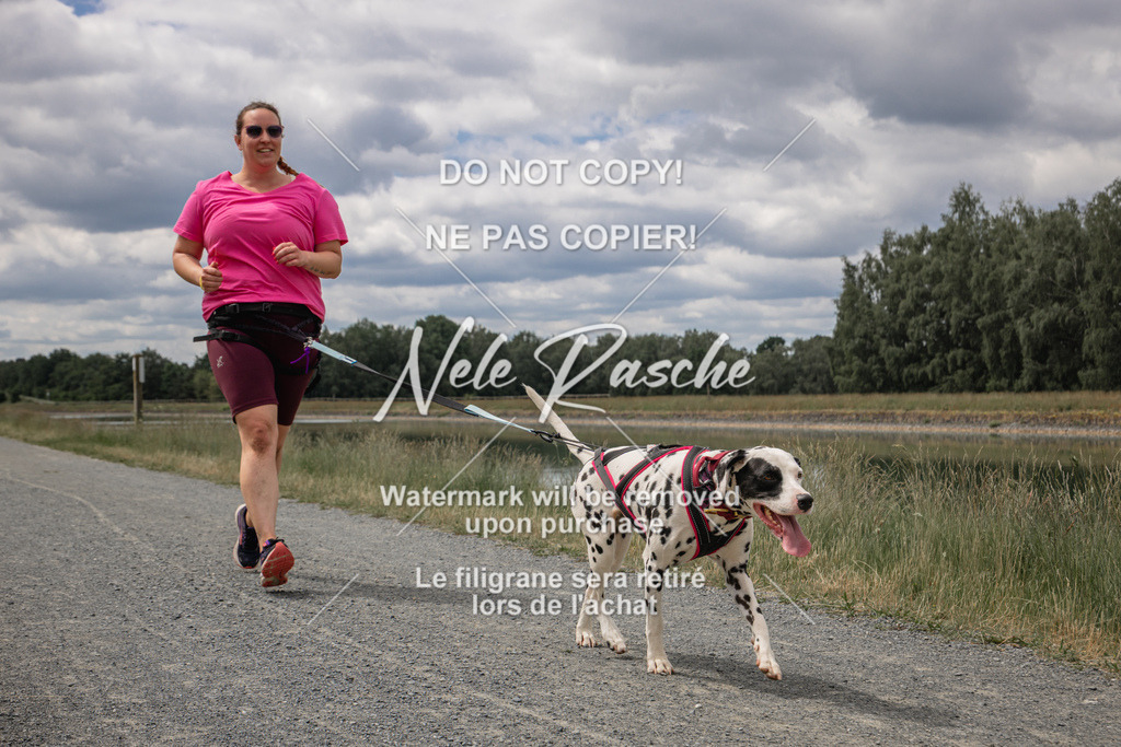 nelerasche_BuHu2026_SaCC1100-1200_266 | nelerasche