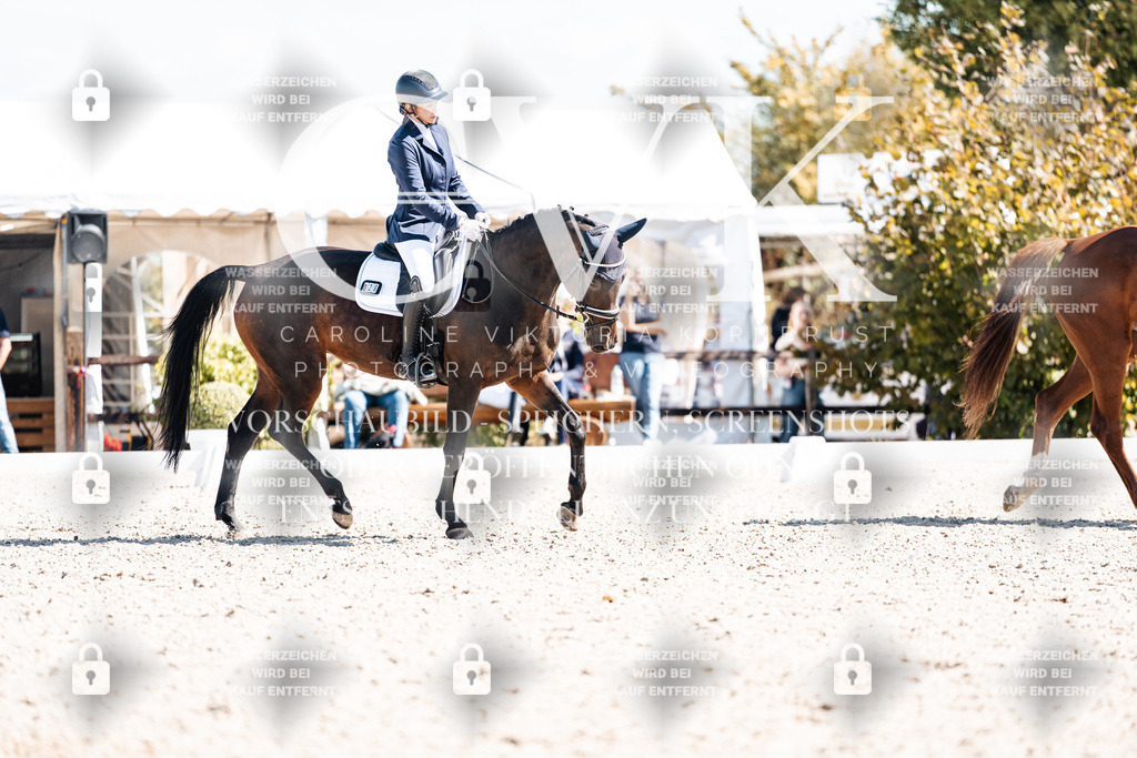 CK903370 | Turnierfotografie Pferdefotografie Trier Rheinland-Pfalz Pferdesport Reitsport Tierfotografie Sportfotografie Pferdevideo Pferdevideografie Equestrianvideography equestrianphotography  - Realisiert mit Pictrs.com
