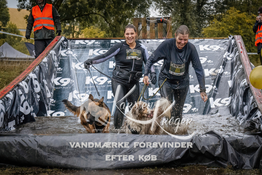 1244_ZZ90457 | kk-dogfotos