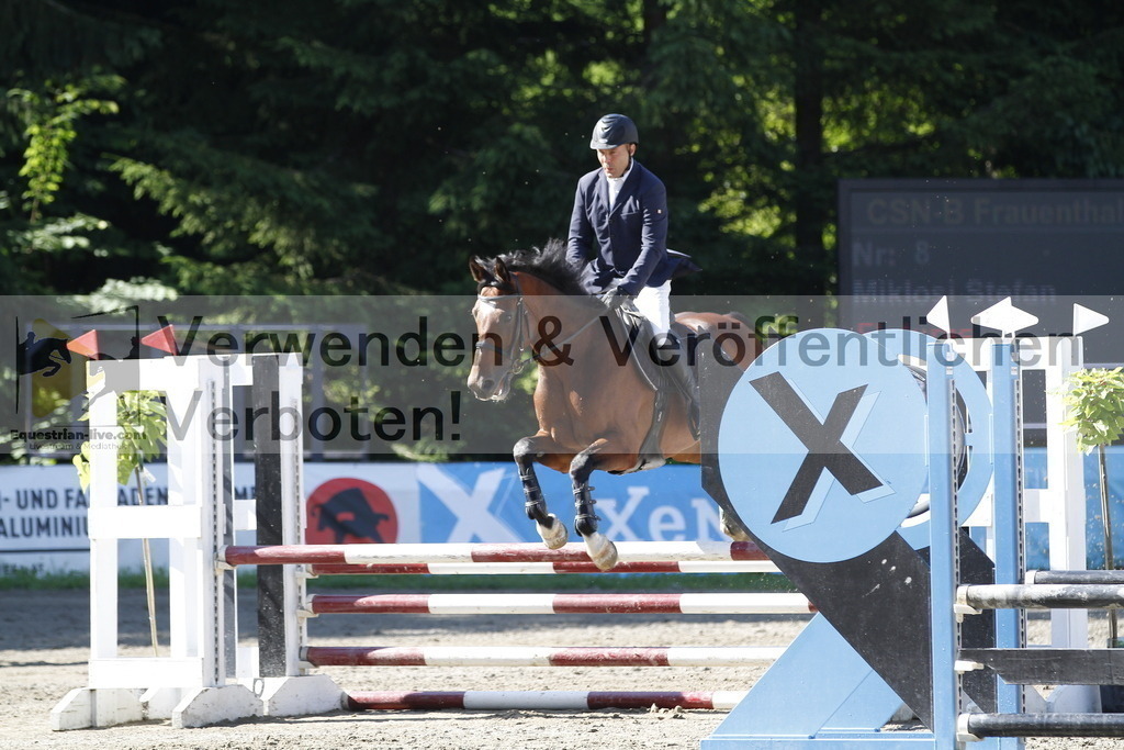 _MG_1369 | equestrian-live-com
