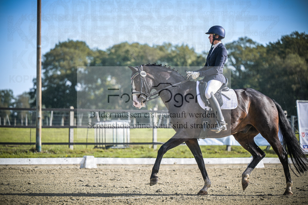 DOS_0493 | Entdecke hochwertige Reitturnierfotos von Foto Oger. Professionell, emotional und authentisch – jetzt Lieblingsmomente im Shop bestellen.Deutschlandweite Turnierfotografie. - Realisiert mit Pictrs.com