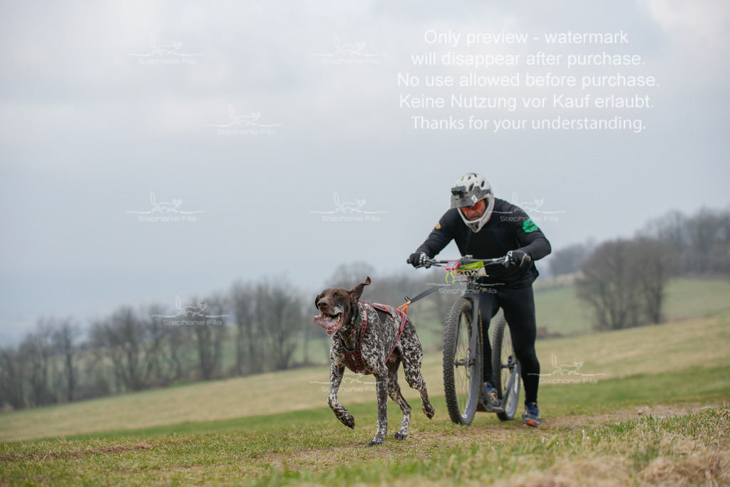 ScooterSA-7 | stephaniefillaphotographie - Realisiert mit Pictrs.com