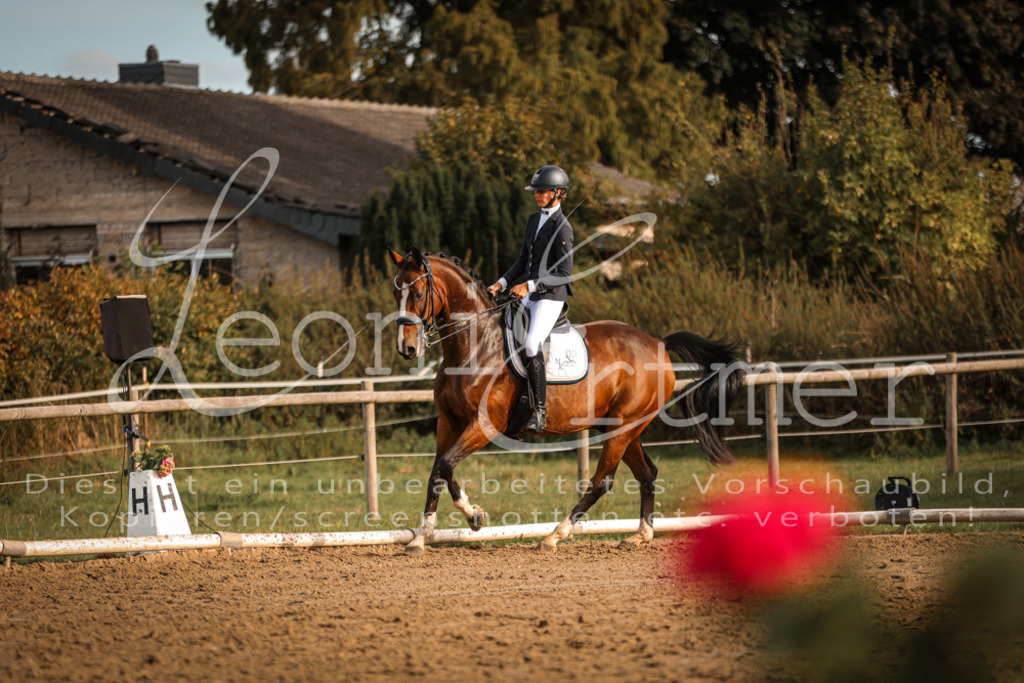 17.SoDrM00526 | Leoni Ertmer Photography - Realisiert mit Pictrs.com