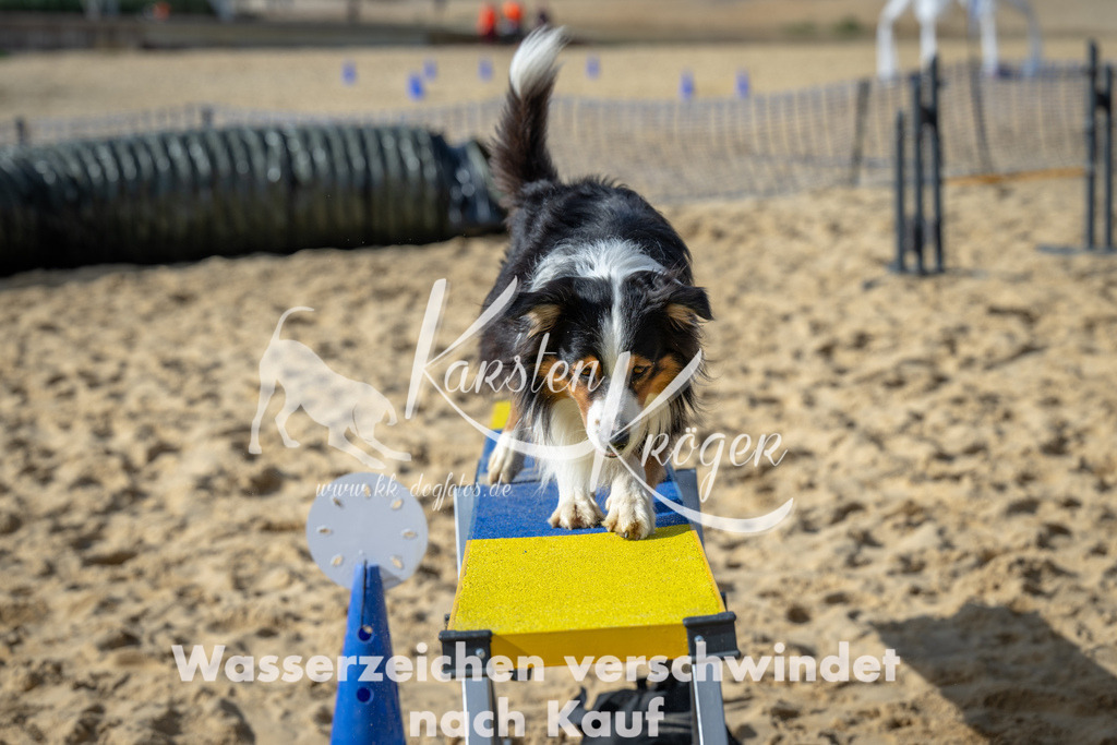 1434_ZZ91593 | kk-dogfotos