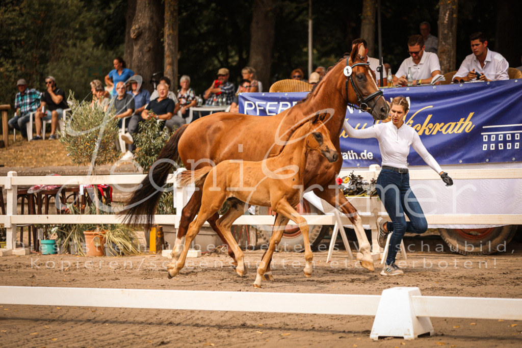 SaPA00037 | Leoni Ertmer Photography - Realisiert mit Pictrs.com