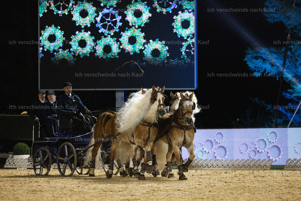 FHClassics-276 | working equitationturnier fotograf videograf stoibphotography marixx film working equitation deutschland reitsport turnierfotografie eventfotografie equestrian events