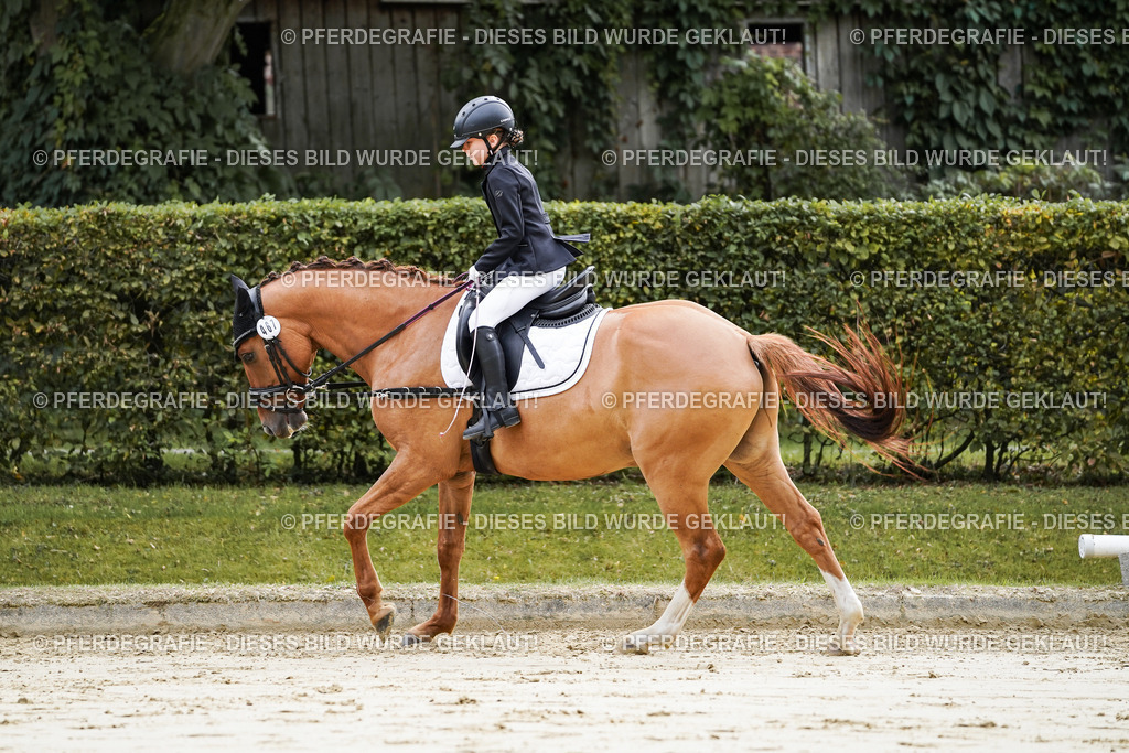 DSC05473 | Pferdegrafie