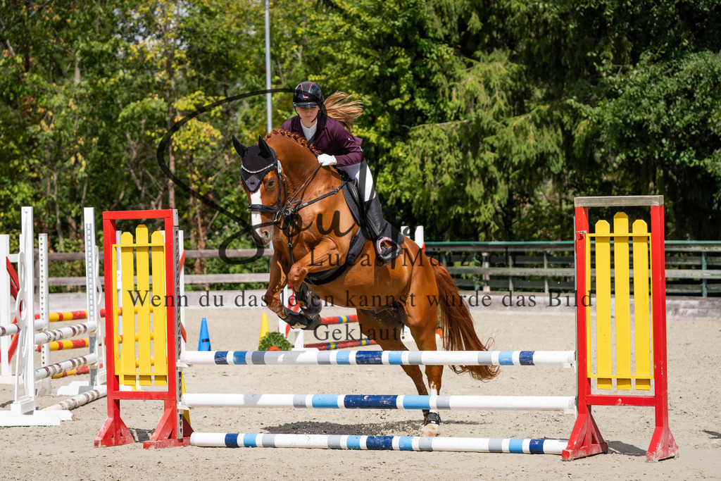 A7V07353 | Turnier/Reitfotograf