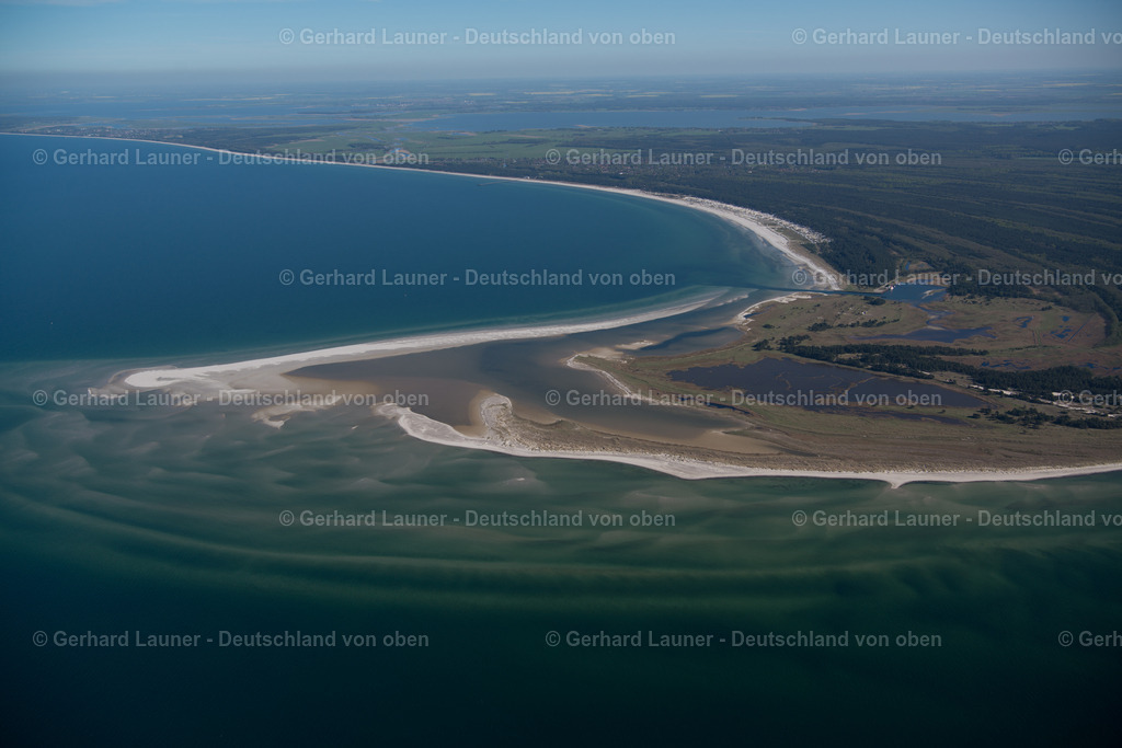 3801315 | Nordspitze Darss, Nationalpark Vorpommersche Boddenlandschaft