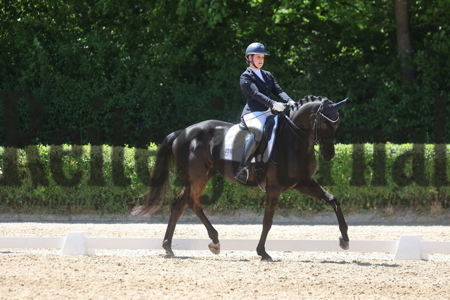 Böblingen_2025_Prfg.Nr.08_Dressurprüfung_Kl.M_Nürnberger Burgpokal_Lucia Rosa Schuler_Daila 15 (1) | Alle Fotos der Reiterjournal Fotografin Doris Matthaes im Reiterjournal Online-Fotoshop. - Realisiert mit Pictrs.com