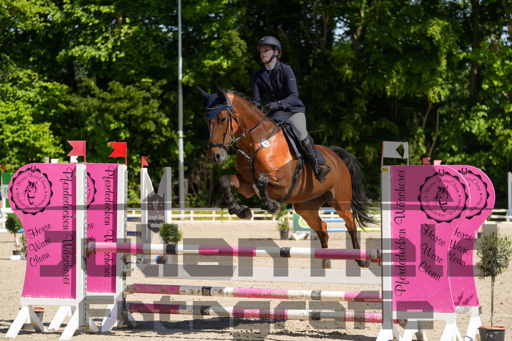 DSC02179 | Julian Held Fotografie - Realisiert mit Pictrs.com