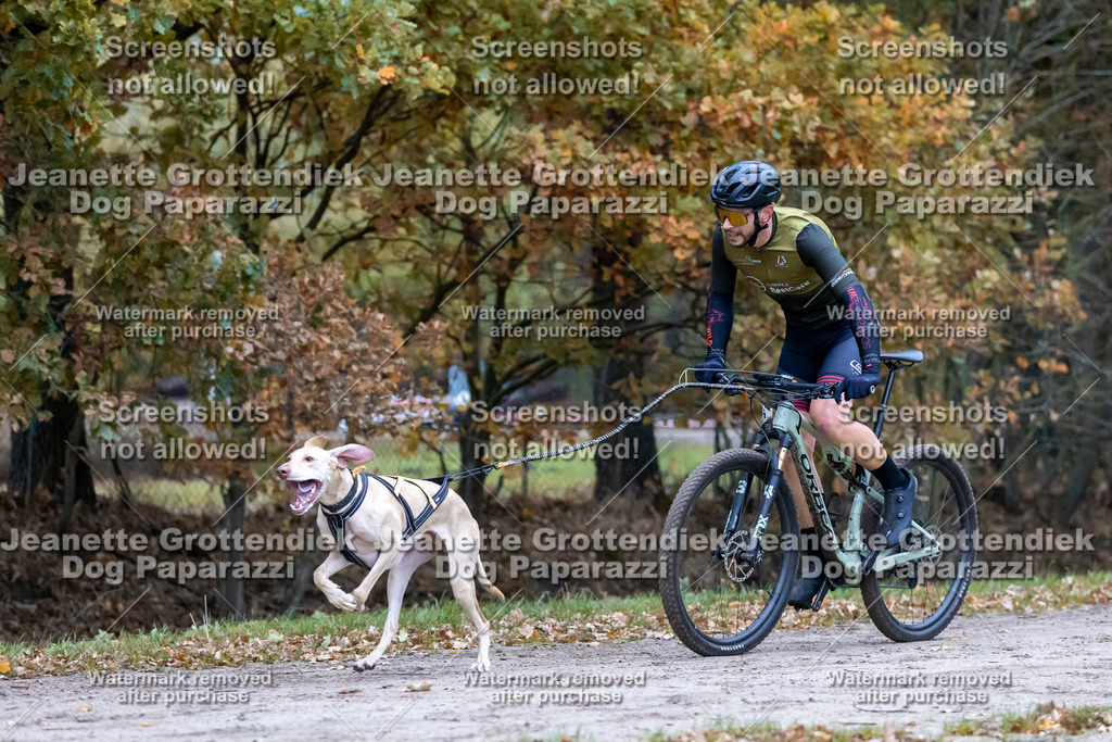 Dog Paparazzi - SD CaniX Championship 2025-54 | Dog Paparazzi Jeanette Grottendiek Fotografie & Videografie - Realisiert mit Pictrs.com