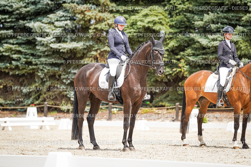 DSC03571 | Pferdegrafie