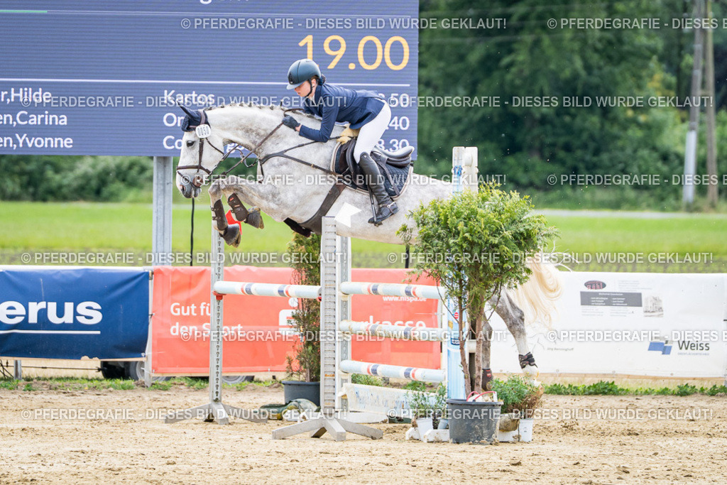 DSC05254 | Pferdegrafie