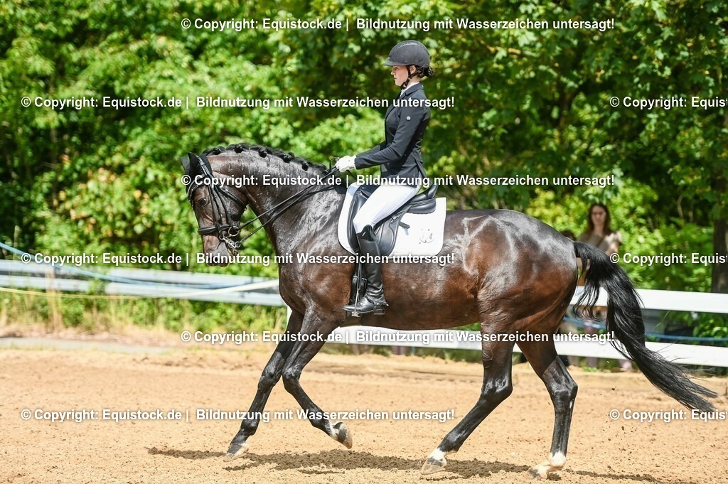20230716_01_Dressurprüfung Kl.M_0065 | equistock