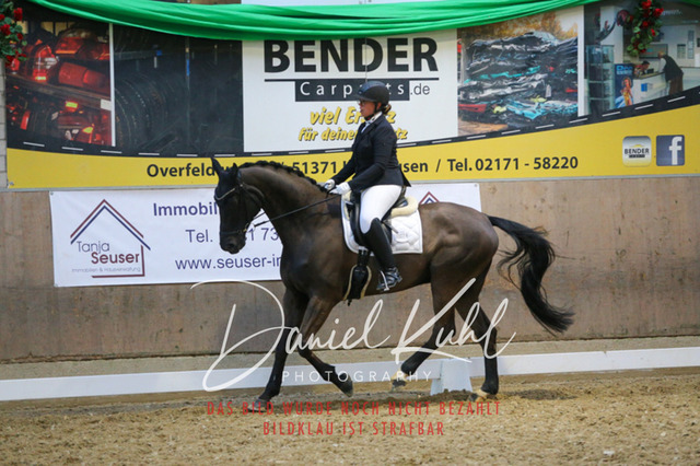 IMG_2899 | Turnierfotos kaufen im Webshop von Daniel Kuhl Photography – entdecke professionelle Reitsportfotos aus Turnieren & Events. Hochwertige Turnierbilder online bestellen & sichern. Jetzt Fotos von Reitsportturnieren kaufen!