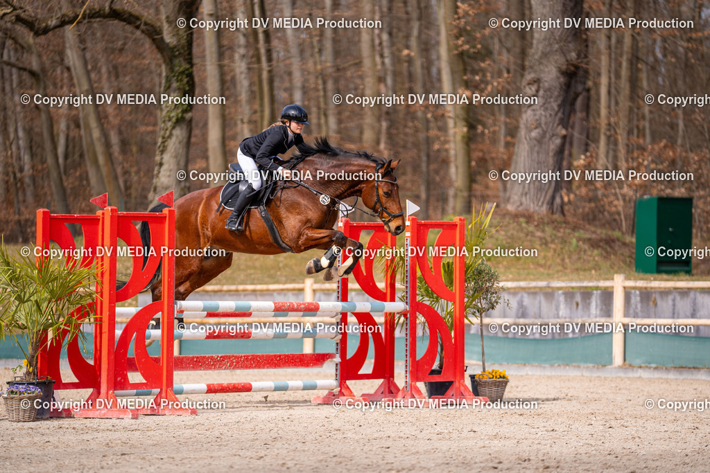 Kranichstein Tag 1-843 | dv-media-shop - Realisiert mit Pictrs.com