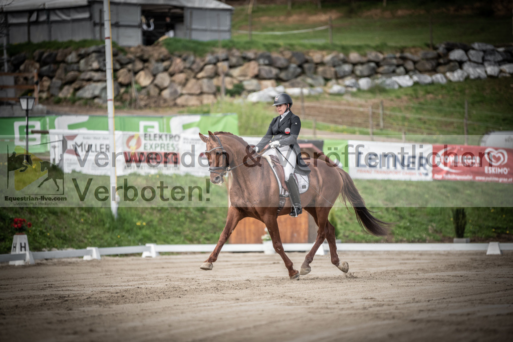 DSC_1506 | equestrian-live-com