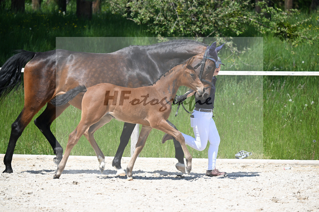 Vingino x Catoo_SF_Haller_10250772 | hf-fotografie - Realisiert mit Pictrs.com