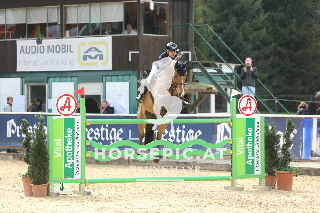 DL2Q2752 | Willkommen bei Brunnmayr - Design & Fotografie – Ihrem Spezialisten für Reitturniere und Pferdeveranstaltungen in Oberösterreich, Salzburg und Bayern! Seit über 17 Jahren sind wir leidenschaftlich dabei.