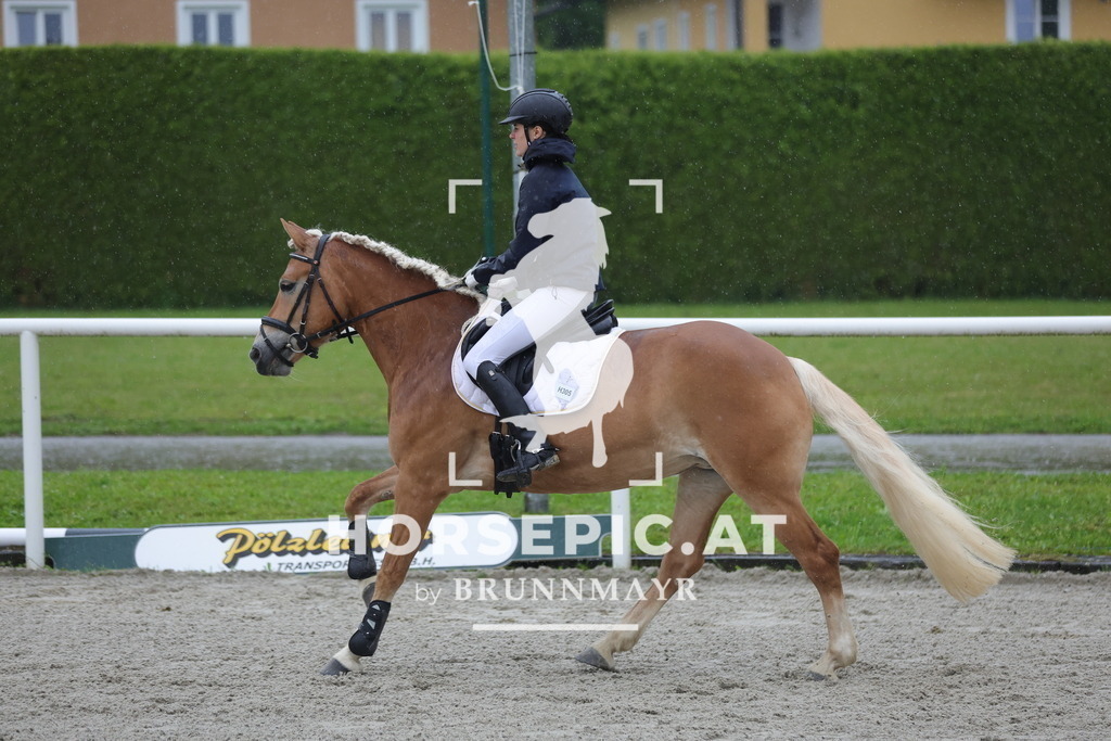 0P6A7632 | Willkommen bei Brunnmayr - Design & Fotografie – Ihrem Spezialisten für Reitturniere und Pferdeveranstaltungen in Oberösterreich, Salzburg und Bayern! Seit über 17 Jahren sind wir leidenschaftlich dabei.
