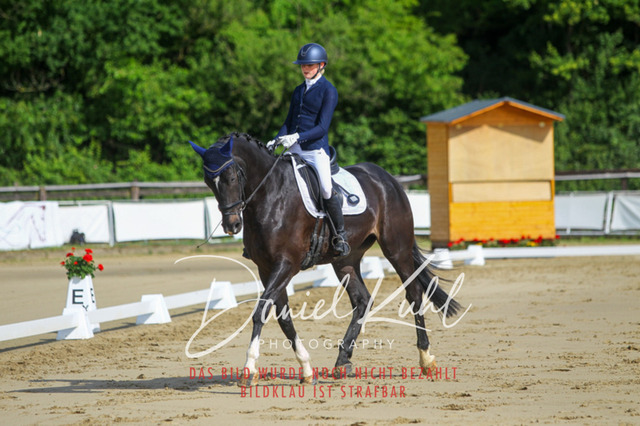 DKP45442 | Turniersportfotografie; Pferdefotografie; Dressurfotografie