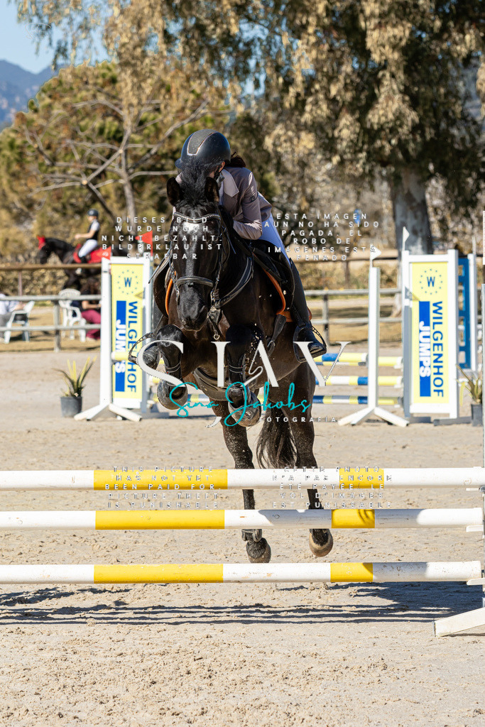 IMG_9050 | s-jay-photography - Realisiert mit Pictrs.com