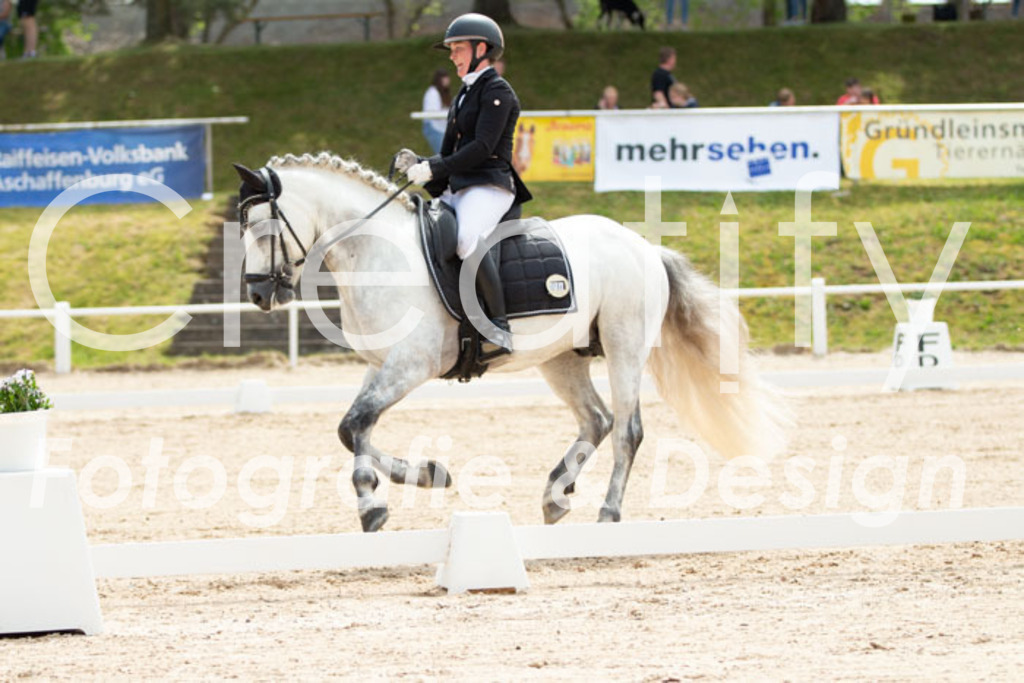 IMG_0786 | Creatify Fotografie