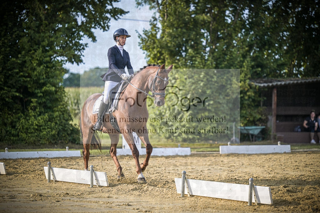 DOS_1304 | Entdecke hochwertige Reitturnierfotos von Foto Oger. Professionell, emotional und authentisch – jetzt Lieblingsmomente im Shop bestellen.Deutschlandweite Turnierfotografie. - Realisiert mit Pictrs.com