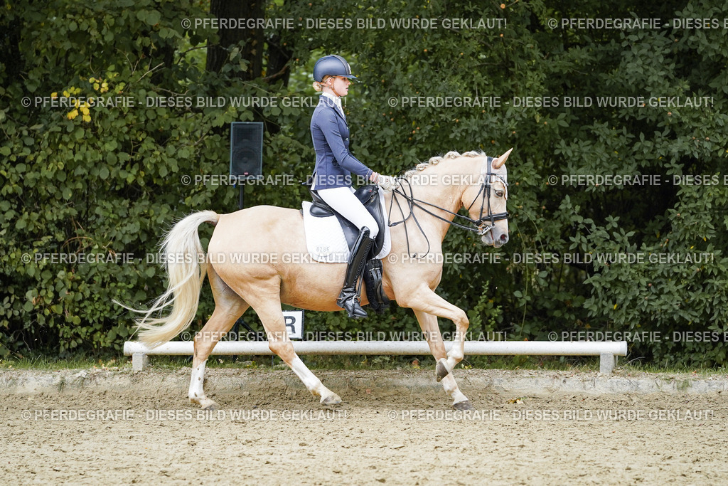 DSC07599 | Pferdegrafie