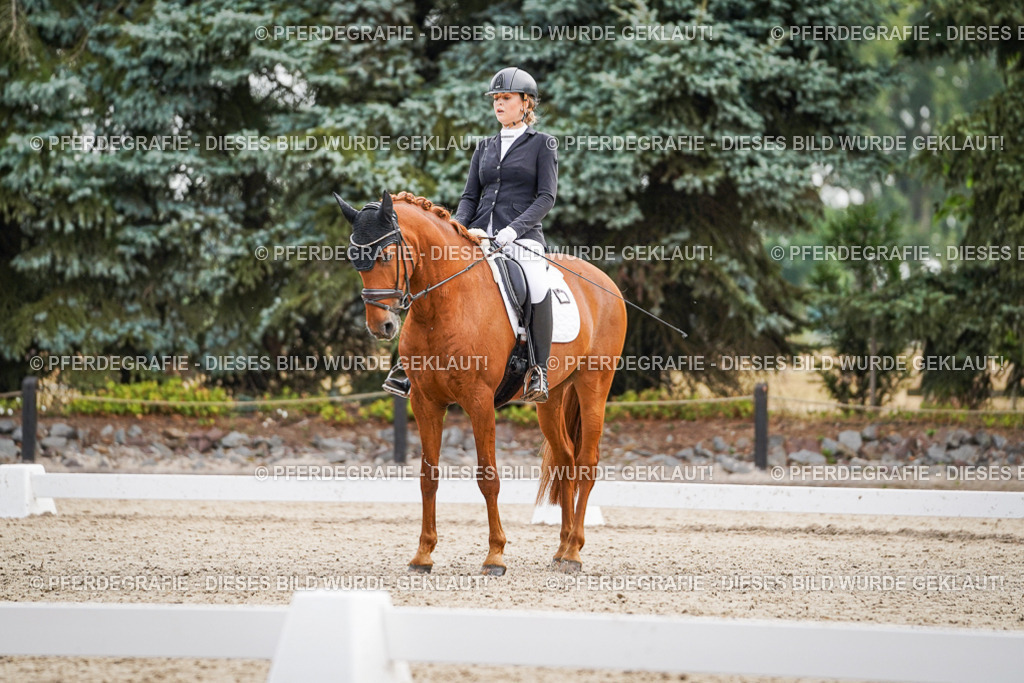 DSC01367 | Pferdegrafie