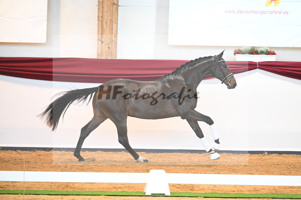 Kat-Nr. 16 v. De Beau_Schult_66220237 | hf-fotografie - Realisiert mit Pictrs.com