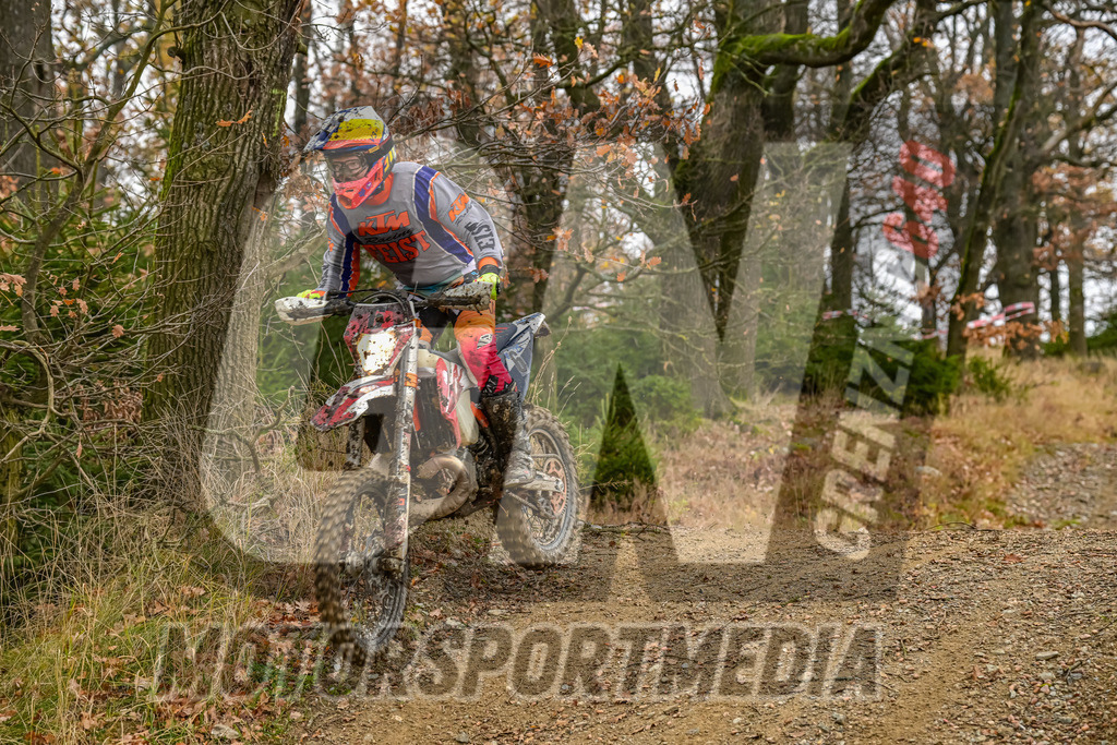 NZ8_4157 | grenznic640