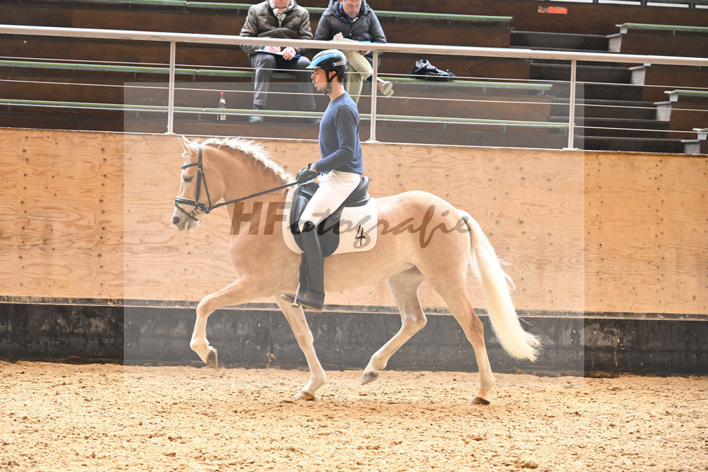 Kat-Nr. 4 Finja_Oswald_6222092 | hf-fotografie - Realisiert mit Pictrs.com