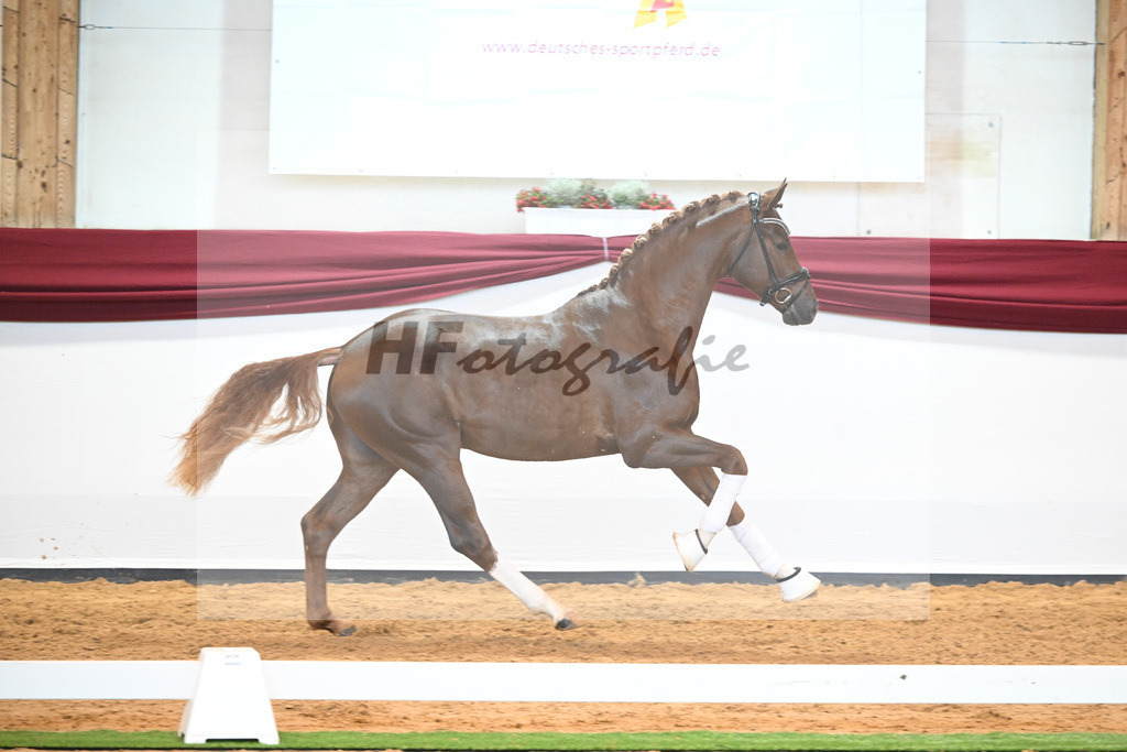 Kat-Nr. 74 v. Le Formidable_Maier_66220354 | hf-fotografie - Realisiert mit Pictrs.com