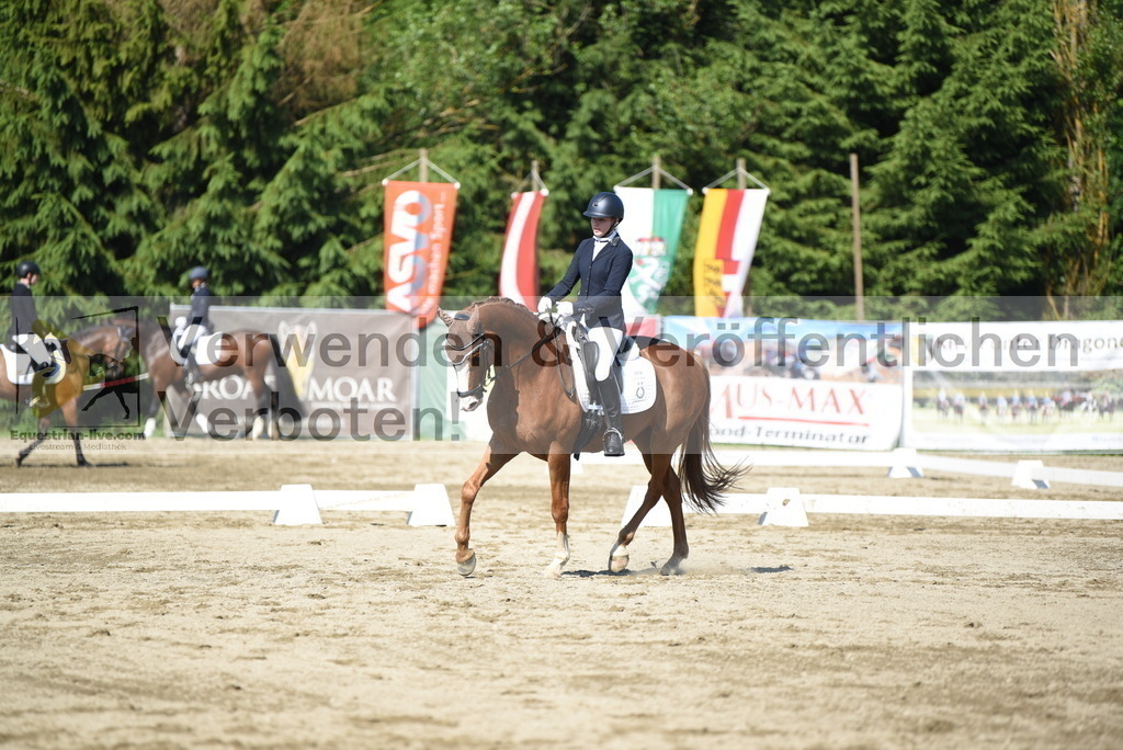 DSC_7569 | equestrian-live-com