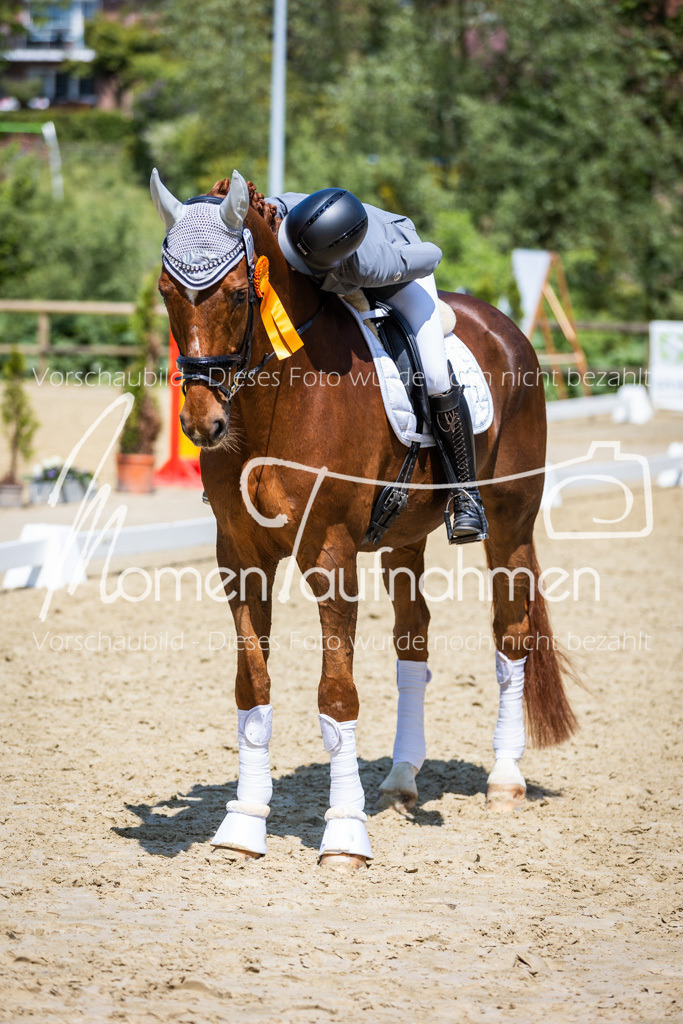 Donop24-L-Dre-121 | MomenTaufnahmen Pferdesportfotos