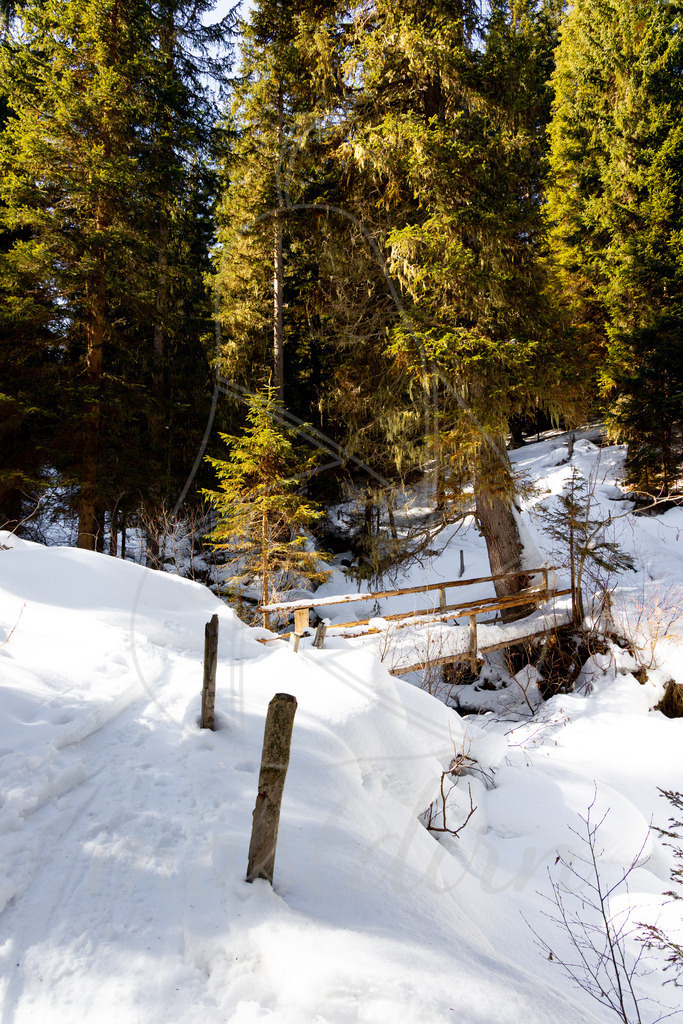 Winter entlang des Plareitbaches | Ihre Fotografin im Lungau, ihre Fotografin im Mostviertel, Wandbilder Onlineshop, Imagefotos für Ihr Unternehmen,  - Realisiert mit Pictrs.com