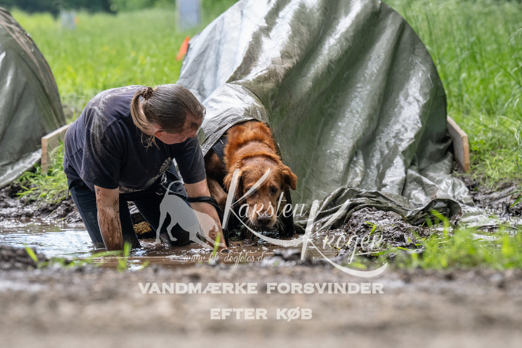 1116_ZZ92320 | kk-dogfotos