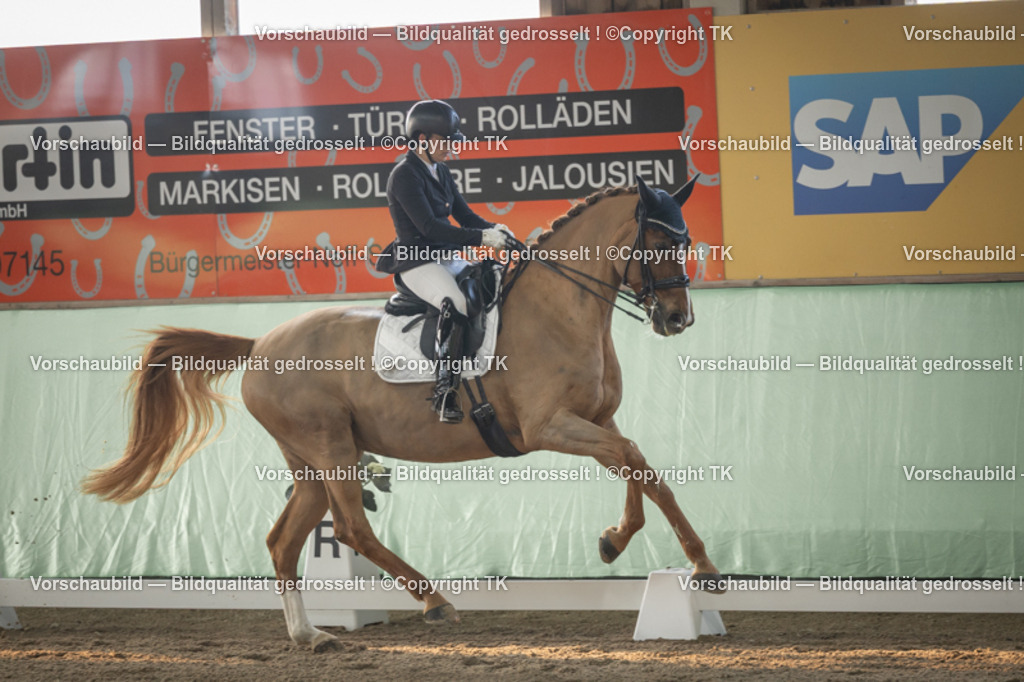 _D5A3990 | Emotionale Pferde- & People-Fotografie rund um Heidelberg, Leimen & Umgebung. Natürliche Fotos von Pferd, Mensch & Familie. Jetzt Termin sichern!