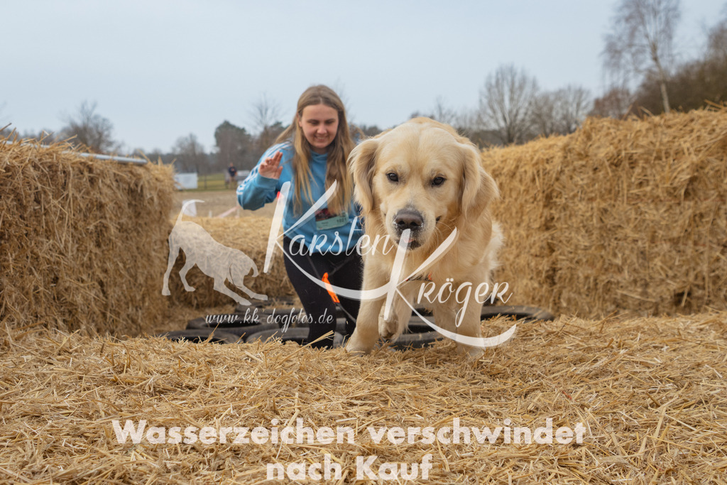 0952_ZZ90559 | kk-dogfotos