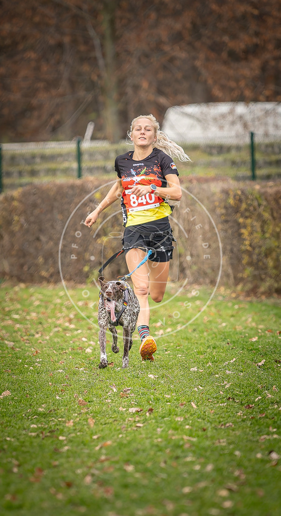 CaniXpix_DV3A6207 | Hundefotografie, Tierfotograf, Pfotenfotografie, Fotoshooting Hund, Hunde Portrait, Hundesport, Hundeportraits, Heideshooting, Hunde, Sportfotograf, Hundefotograf, Turnierhundsport, THS,  - Realisiert mit Pictrs.com
