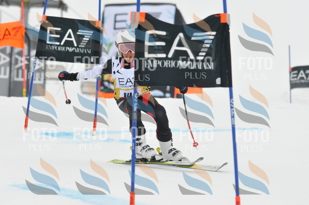 DSC_8365 | holidayphoto