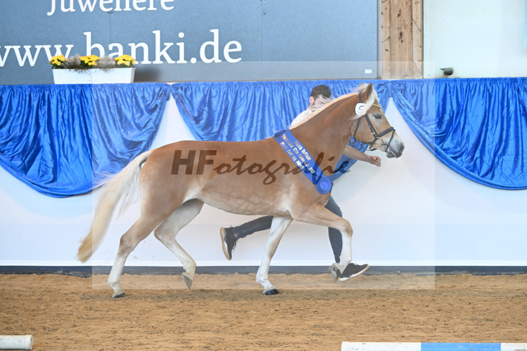Kat-Nr. 5 Wayana v. Starkwind_Aigner_60221310 | hf-fotografie - Realisiert mit Pictrs.com