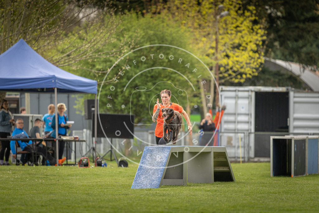 Pfotenfotografie_DV3A6807 | Hundefotografie, Tierfotograf, Pfotenfotografie, Fotoshooting Hund, Hunde Portrait, Hundesport, Hundeportraits, Heideshooting, Hunde, Sportfotograf, Hundefotograf, Turnierhundsport, THS,  - Realisiert mit Pictrs.com