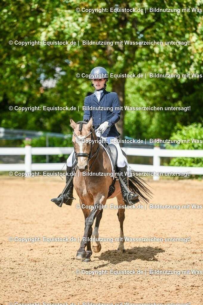 20230716_01_Dressurprüfung Kl.M_0212 | equistock
